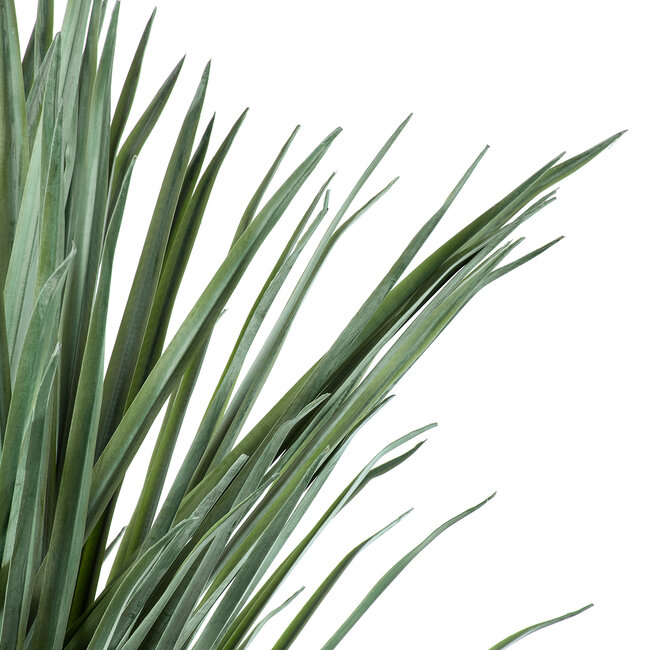 Artificial Garden BEAUCARNEA PALM TREE 20047 Τεχνητό Διακοσμητικό Φυτό Κυρτόφυλλος Μπουκαρνέα Υ200cm Artificial Garden BEAUCARNEA PALM TREE 20047 Τεχνητό Διακοσμητικό Φυτό Κυρτόφυλλος Μπουκαρνέα Υ200cm