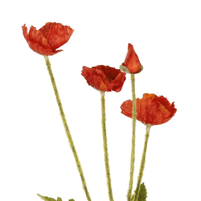 Artificial Garden RED POPPY BRANCH 21333 Τεχνητό Διακοσμητικό Κλαδί Παπαρούνα Κόκκινη Y50cm