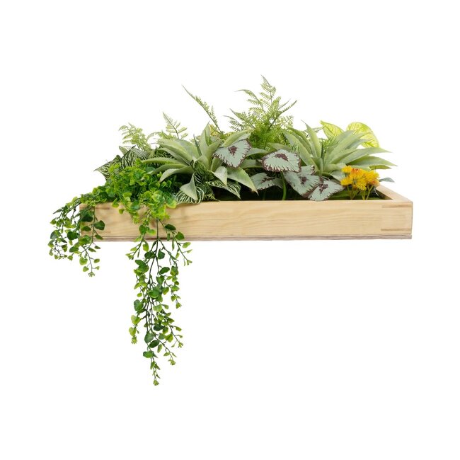 Artificial Garden VARIOUS PLANT 20641 Τεχνητό Διακοσμητικό Φυλλωσιάς σε Ξύλινο Πάνελ  - Κάθετος Κήπος Μιξ Μ60 x Π60 x Υ32cm