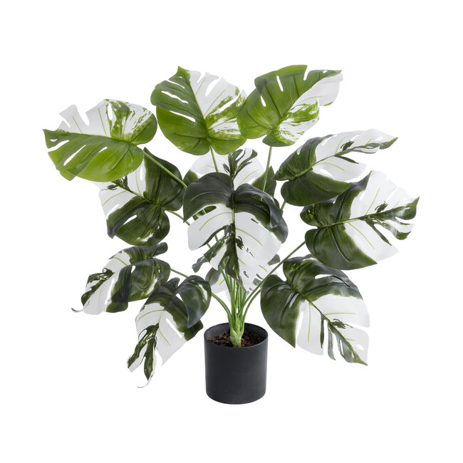 Artificial Garden ALBINO MONSTERA 20935 Διακοσμητικό Φυτό Λευκή Μονστέρα Υ55cm