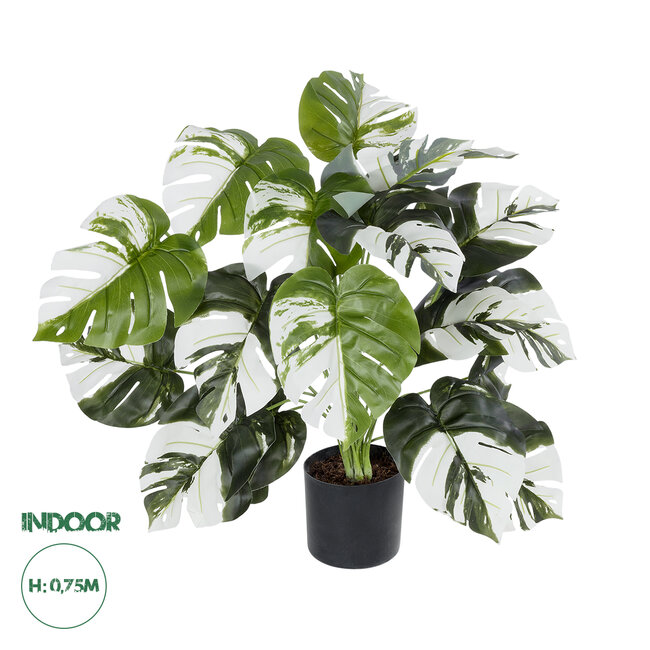 Artificial Garden ALBINO MONSTERA 20925 Διακοσμητικό Φυτό Λευκή Μονστέρα Υ75cm Artificial Garden ALBINO MONSTERA 20925 Διακοσμητικό Φυτό Λευκή Μονστέρα Υ75cm