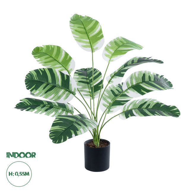 Artificial Garden BANANA ZEBRA 20929 Διακοσμητικό Φυτό Μπανανιά Ζέβρα Υ55cm Artificial Garden BANANA ZEBRA 20929 Διακοσμητικό Φυτό Μπανανιά Ζέβρα Υ55cm