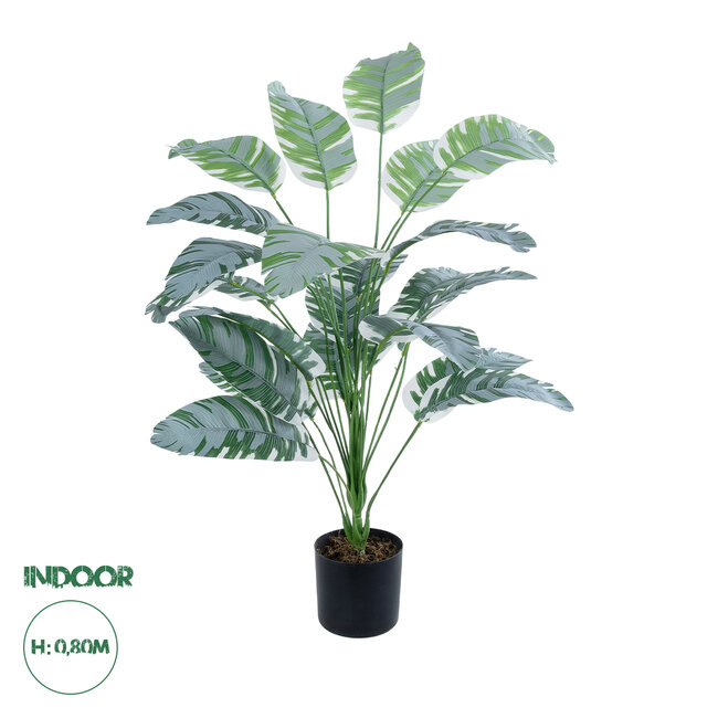 Artificial Garden BANANA ZEBRA 20919 Διακοσμητικό Φυτό Μπανανιά Ζέβρα Υ80cm