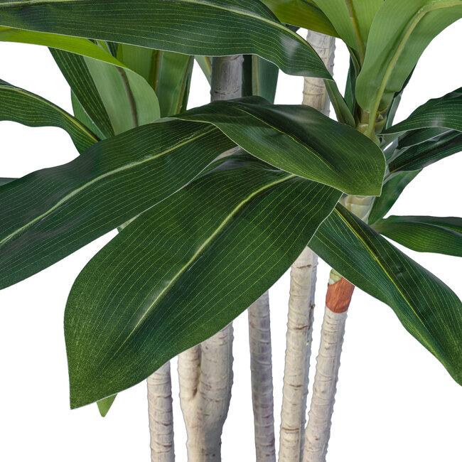 Artificial Garden DRACAENA SILK 20044 Τεχνητό Διακοσμητικό Φυτό Δράκαινα Υ170cm