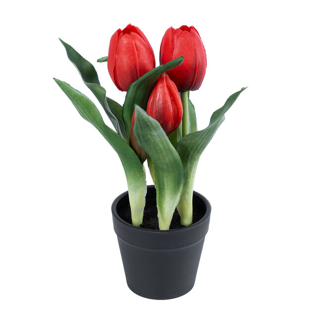 Artificial Garden RED TULIP 21094 Διακοσμητικό Φυτό Κόκκινη Τουλίπα Υ23cm - 2