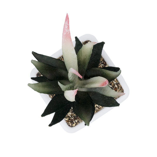 Artificial Garden SUCCULENT ALOE POTTED PLANT 20974 Διακοσμητικό Φυτό Αλόης Φ7 x Υ14cm - 3