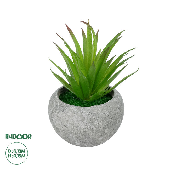 Artificial Garden AIR PLANT TILLANDSIA POTTED PLANT 21036 Διακοσμητικό Φυτό Τιλάντσια Φ12 x Υ15cm Artificial Garden AIR PLANT TILLANDSIA POTTED PLANT 21036 Διακοσμητικό Φυτό Τιλάντσια Φ12 x Υ15cm