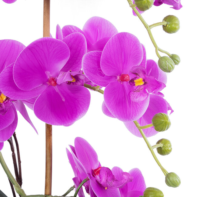 Artificial Garden HOT PINK ORCHID 21119 Διακοσμητικό Έντονο Ροζ Ορχιδέα Υ45cm