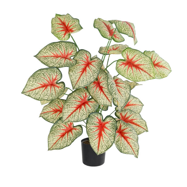 Artificial Garden CALADIUM 20921 Διακοσμητικό Φυτό Καλάντιουμ Υ80cm - 2