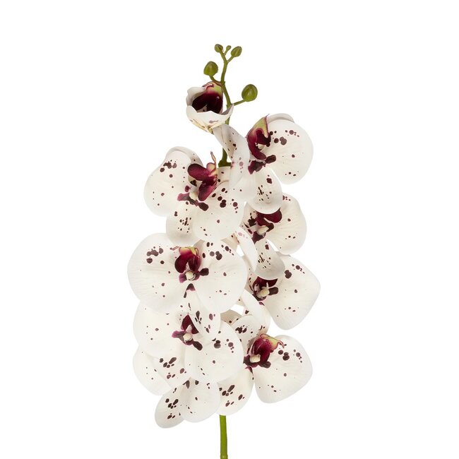 Artificial Garden WHITE ORCHID BRANCH 21406 Τεχνητό Διακοσμητικό Κλαδί Λευκή Ορχιδέα Y95cm