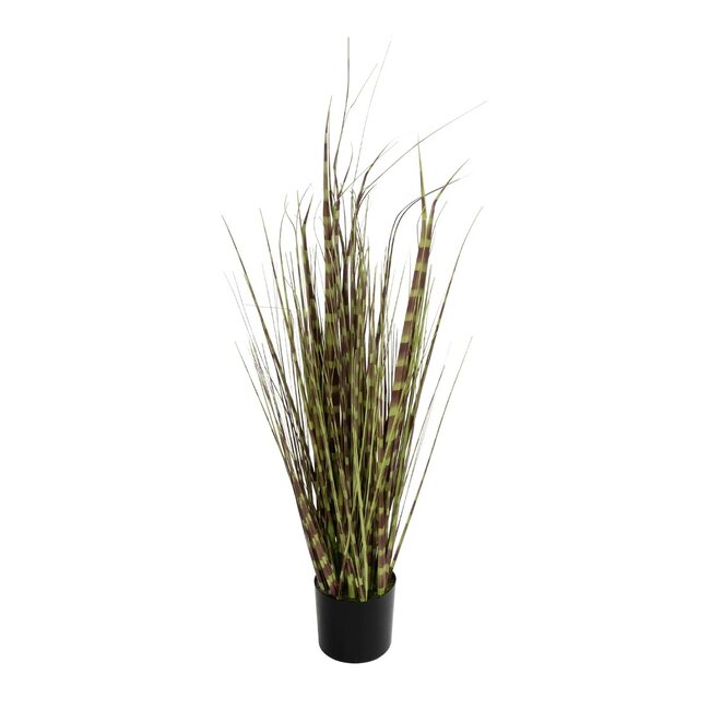 Artificial Garden ZEBRA GRASS 21482 Τεχνητό Διακοσμητικό Φυτό Ζέμπρα  Υ85cm