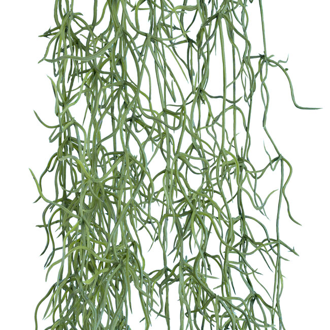 Artificial Garden TILLANDSIA HANGING BRANCH 20236 Τεχνητό Διακοσμητικό Κρεμαστό Φυτό Ισπανικό Βρύο Τιλάντσια Υ120cm Artificial Garden TILLANDSIA HANGING BRANCH 20236 Τεχνητό Διακοσμητικό Κρεμαστό Φυτό Ισπανικό Βρύο Τιλάντσια Υ120cm