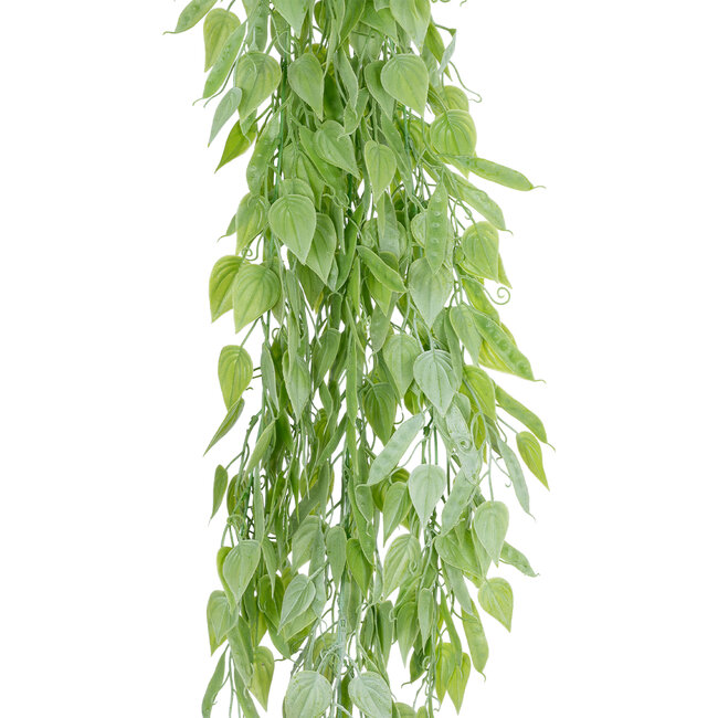 Artificial Garden HANGING LIMA BEAN 20847 Τεχνητό Διακοσμητικό Κρεμαστό Φυτό Φασόλι Λίμα Μ29 x Π10 x Υ86cm Artificial Garden HANGING LIMA BEAN 20847 Τεχνητό Διακοσμητικό Κρεμαστό Φυτό Φασόλι Λίμα Μ29 x Π10 x Υ86cm