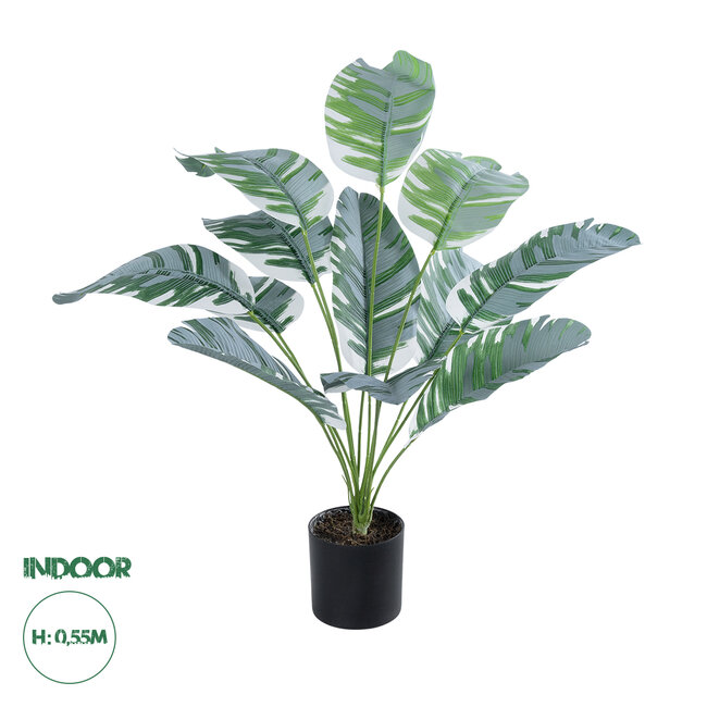 Artificial Garden BANANA ZEBRA 20930 Διακοσμητικό Φυτό Μπανανιά Ζέβρα Υ55cm