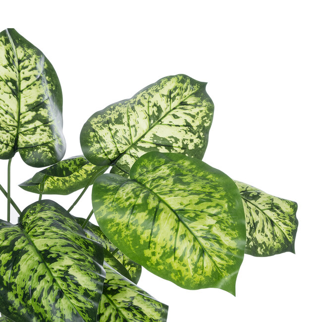 Artificial Garden DIEFFENBACHIA 20914 Διακοσμητικό Φυτό Υ75cm