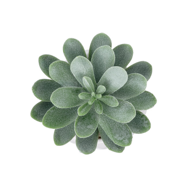 Artificial Garden SUCCULENT SEDEVERIA POTTED PLANT 20998 Διακοσμητικό Φυτό Σεδεβέρια  Φ7 x Υ9cm - 3