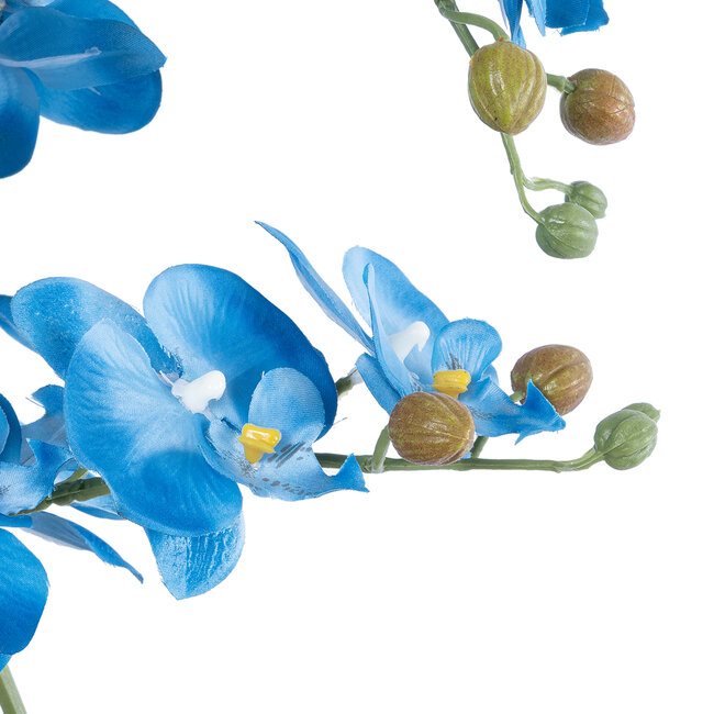 Artificial Garden BLUE ORCHID 21130 Διακοσμητικό Φυτό Μπλε Ορχιδέα Υ43cm - 3