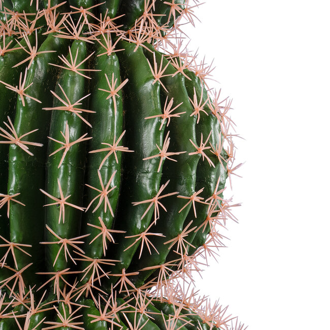 Artificial Garden FEROCACTUS 20137 Τεχνητό Διακοσμητικό Φυτό Φερόκακτος Υ85cm Artificial Garden FEROCACTUS 20137 Τεχνητό Διακοσμητικό Φυτό Φερόκακτος Υ85cm