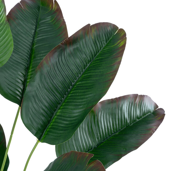 Artificial Garden BANANA 20928 Διακοσμητικό Φυτό Μπανανιά Υ55cm - 3
