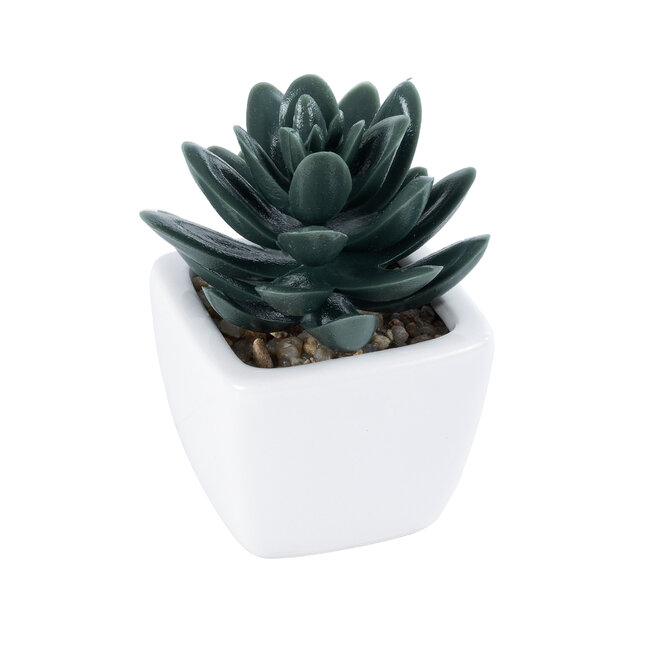 Artificial Garden SUCCULENT SEDEVERIA 20977 Διακοσμητικό Φυτό Παχύφυτο Σεντεβέρια Υ9cm Artificial Garden SUCCULENT SEDEVERIA 20977 Διακοσμητικό Φυτό Παχύφυτο Σεντεβέρια Υ9cm