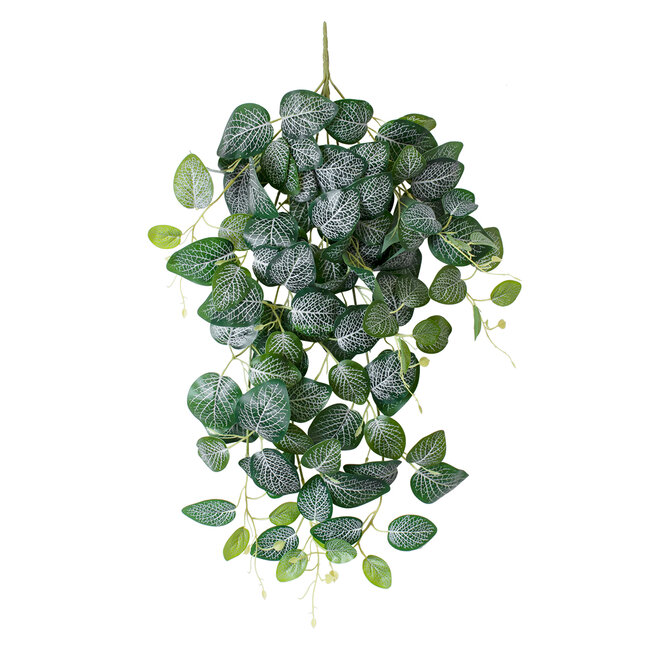 Artificial Garden NERVE HANGING BRANCH 20250 Τεχνητό Διακοσμητικό Κρεμαστό Φυτό Φιτόνια Άμπελος Υ65cm Artificial Garden NERVE HANGING BRANCH 20250 Τεχνητό Διακοσμητικό Κρεμαστό Φυτό Φιτόνια Άμπελος Υ65cm