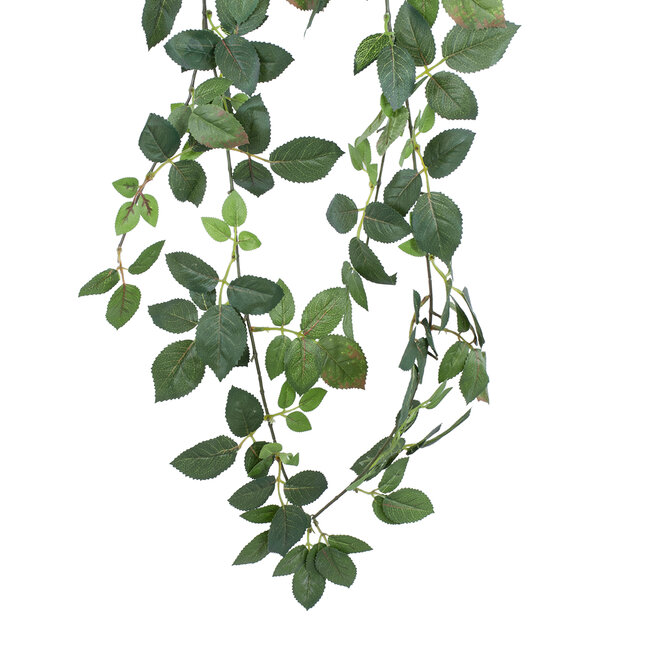 Artificial Garden ROSE IVY HANGING BRANCH 20249 Τεχνητό Διακοσμητικό Κρεμαστό Φυτό Ρίζα - Κισσός Υ130cm Artificial Garden ROSE IVY HANGING BRANCH 20249 Τεχνητό Διακοσμητικό Κρεμαστό Φυτό Ρίζα - Κισσός Υ130cm