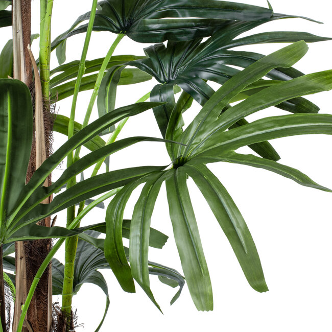 Artificial Garden BROADLEAF LADY PALM TREE 20385 Τεχνητό Διακοσμητικό Φυτό Πλατύφυλλος Φοίνικας Μπαμπού Υ200cm