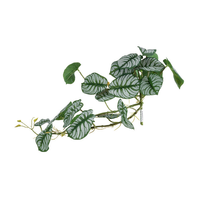 Artificial Garden HANGING ALOCASIA 20601 Τεχνητό Διακοσμητικό Κρεμαστό Φυτό Αλοκάσια Μ28 x Π27 x Υ50cm