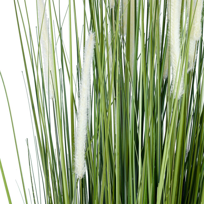 Artificial Garden SACCHARUM 20104 Τεχνητό Διακοσμητικό Φυτό Ζαχαροκάλαμο Υ150cm Artificial Garden SACCHARUM 20104 Τεχνητό Διακοσμητικό Φυτό Ζαχαροκάλαμο Υ150cm