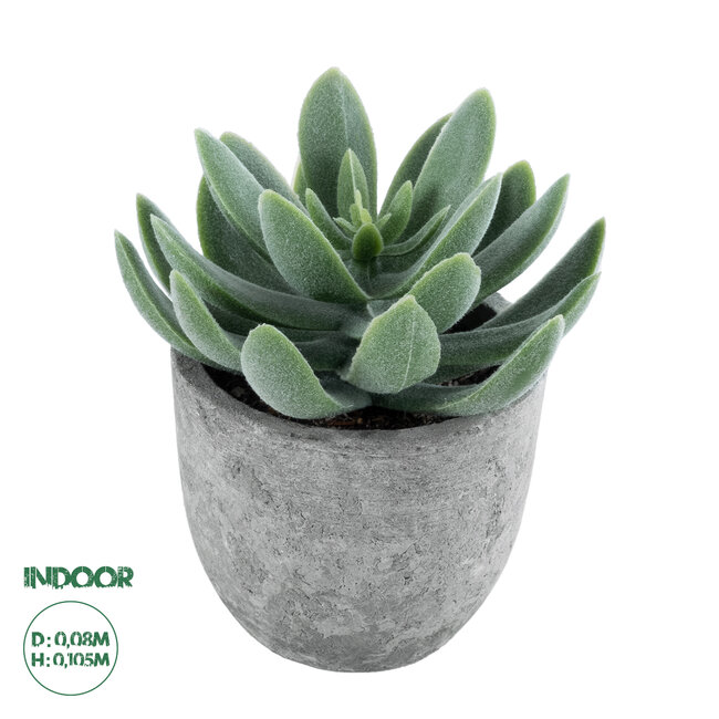 Artificial Garden SUCCULENT SEDEVERIA 21025 Διακοσμητικό Φυτό Παχύφυτο Σεντεβέρια Υ10.5cm Artificial Garden SUCCULENT SEDEVERIA 21025 Διακοσμητικό Φυτό Παχύφυτο Σεντεβέρια Υ10.5cm