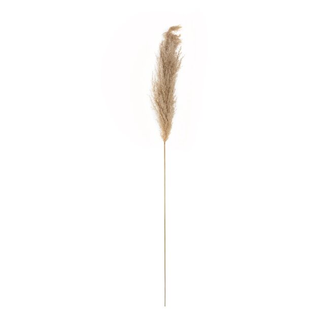 Artificial Garden PAMPAS GRASS 21217 Αποξηραμένο Διακοσμητικό Γρασίδι Πάμπας Μ10 x Π10 x Υ150cm