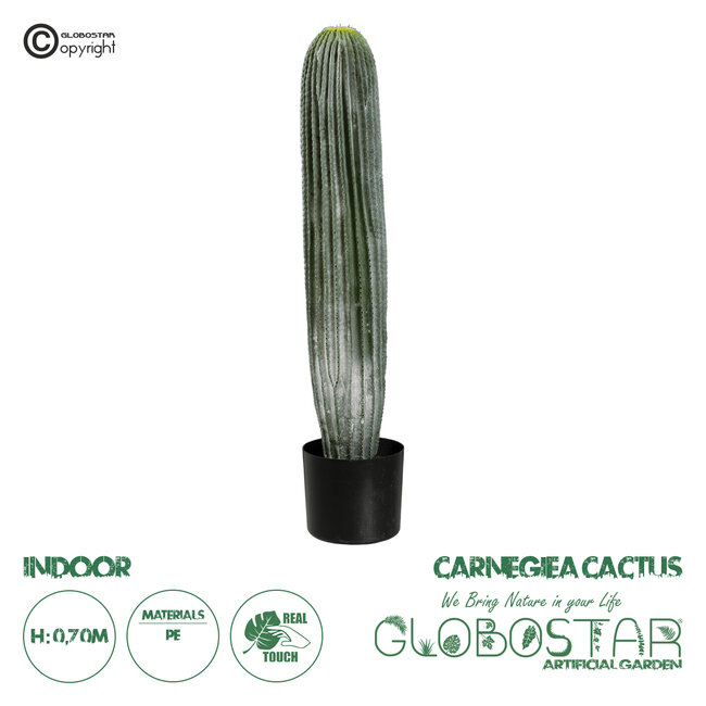 Artificial Garden CARNEGIEA CACTUS 20124 Τεχνητό Διακοσμητικό Φυτό Κάκτος Σαγκουάρο Υ70cm