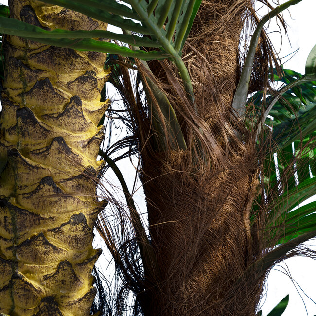 Artificial Garden COCONUT PALM TREE 20087 Τεχνητό Διακοσμητικό Φυτό Φοινικόδεντρο Κοκοφοίνικας Υ350cm - 3