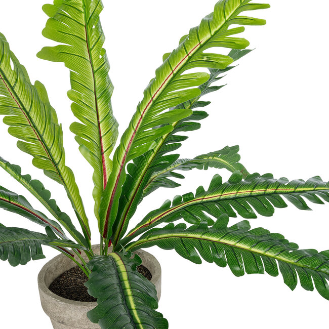 Artificial Garden ASPLENIUM POTTED PLANT 20904 Διακοσμητικό Φυτό Aslenium Φ40 x Υ33cm Artificial Garden ASPLENIUM POTTED PLANT 20904 Διακοσμητικό Φυτό Aslenium Φ40 x Υ33cm