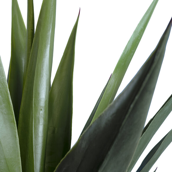Artificial Garden SISAL AGAVE 20078 Τεχνητό Διακοσμητικό Φυτό Αγαύη Υ110cm Artificial Garden SISAL AGAVE 20078 Τεχνητό Διακοσμητικό Φυτό Αγαύη Υ110cm