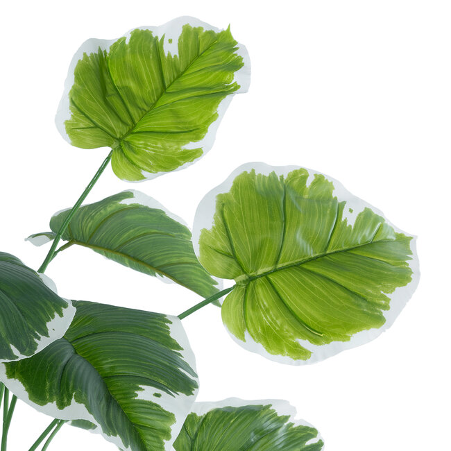 Artificial Garden WHITE HOSTA 20920 Διακοσμητικό Φυτό Λευκή Χόστα Υ80cm Artificial Garden WHITE HOSTA 20920 Διακοσμητικό Φυτό Λευκή Χόστα Υ80cm