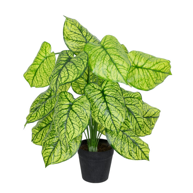 Artificial Garden CALADIUM 20913 Διακοσμητικό Φυτό Καλάντιουμ Υ75cm - 2