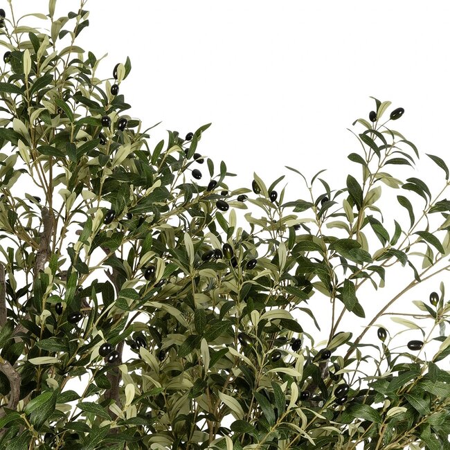 Artificial Garden OLIVE TREE 21112 Τεχνητό Διακοσμητικό Δέντρο Ελιά Υ220cm - 2