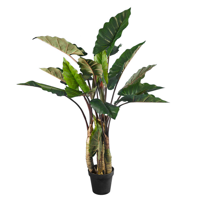 Artificial Garden RAINBOW TARO 20207 Τεχνητό Διακοσμητικό Φυτό Κολοκασία Υ170cm Artificial Garden RAINBOW TARO 20207 Τεχνητό Διακοσμητικό Φυτό Κολοκασία Υ170cm