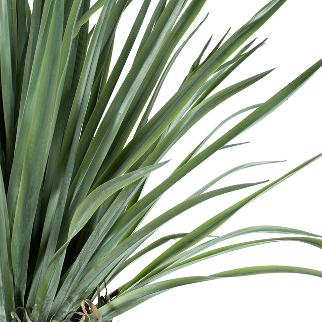 Artificial Garden BEAUCARNEA PALM TREE 20048 Τεχνητό Διακοσμητικό Φυτό Κυρτόφυλλος Μπουκαρνέα Υ250cm Artificial Garden BEAUCARNEA PALM TREE 20048 Τεχνητό Διακοσμητικό Φυτό Κυρτόφυλλος Μπουκαρνέα Υ250cm