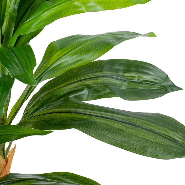 Artificial Garden DRACAENA YUCCA 20422 Τεχνητό Διακοσμητικό Φυτό Δράκαινα Γιούκα Υ120cm Artificial Garden DRACAENA YUCCA 20422 Τεχνητό Διακοσμητικό Φυτό Δράκαινα Γιούκα Υ120cm