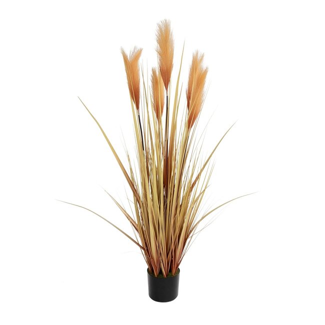 Artificial Garden PAMPAS GRASS 21475 Τεχνητό Διακοσμητικό Φυτό Παμπας Υ120cm Artificial Garden PAMPAS GRASS 21475 Τεχνητό Διακοσμητικό Φυτό Παμπας Υ120cm