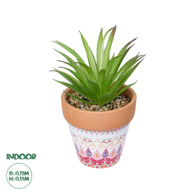 Artificial Garden AIR PLANT NEOPHYTUM POTTED PLANT 21043 Διακοσμητικό Φυτό Νεόφυτο Φ12 x Υ15cm Artificial Garden AIR PLANT NEOPHYTUM POTTED PLANT 21043 Διακοσμητικό Φυτό Νεόφυτο Φ12 x Υ15cm