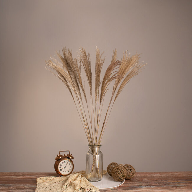 MISCANTHUS 36536 Αποξηραμένο Φυτό Μίσχανθος - Μπουκέτο Διακοσμητικών Κλαδιών Μπεζ Υ80cm