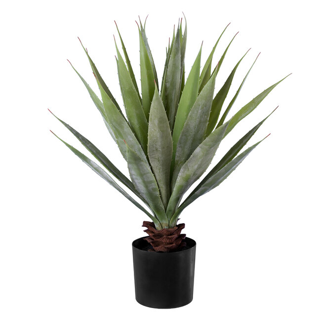 Artificial Garden SISAL AGAVE 20079 Τεχνητό Διακοσμητικό Φυτό Αγαύη Υ60cm Artificial Garden SISAL AGAVE 20079 Τεχνητό Διακοσμητικό Φυτό Αγαύη Υ60cm
