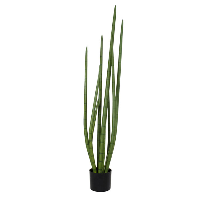Artificial Garden SANSEVIERIA CYLINDRICA 20210 Τεχνητό Διακοσμητικό Φυτό Σανσεβιέρια Υ120cm Artificial Garden SANSEVIERIA CYLINDRICA 20210 Τεχνητό Διακοσμητικό Φυτό Σανσεβιέρια Υ120cm