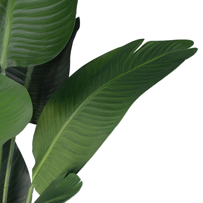 Artificial Garden STRELITZIA 20026 Τεχνητό Διακοσμητικό Φυτό  Στρελίτσια - Πουλί του Παραδείσου Υ180cm - 3