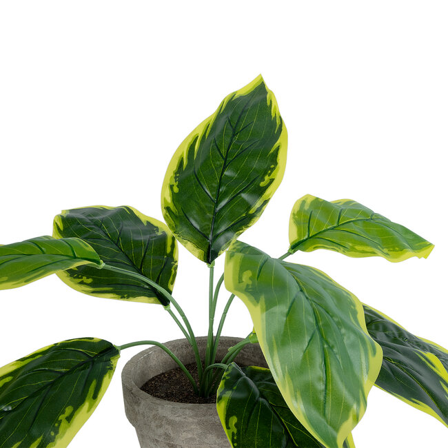 Artificial Garden YELLOW HOSTA 20899 Τεχνητό Διακοσμητικό Φυτό Κίτρινη Χόστα Υ40cm